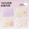 Ropa interior para niñas, tipo algodón puro para niños, algodón, bebés niñas, niños pequeños, calzoncillos bóxer para niñas de primaria que no aprietan las nalgas