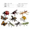Simulación Transfronteriza Modelo de Araña Real Unicornio Insecto Juguetes para Niños Mariposa Abeja Adornos de Animales