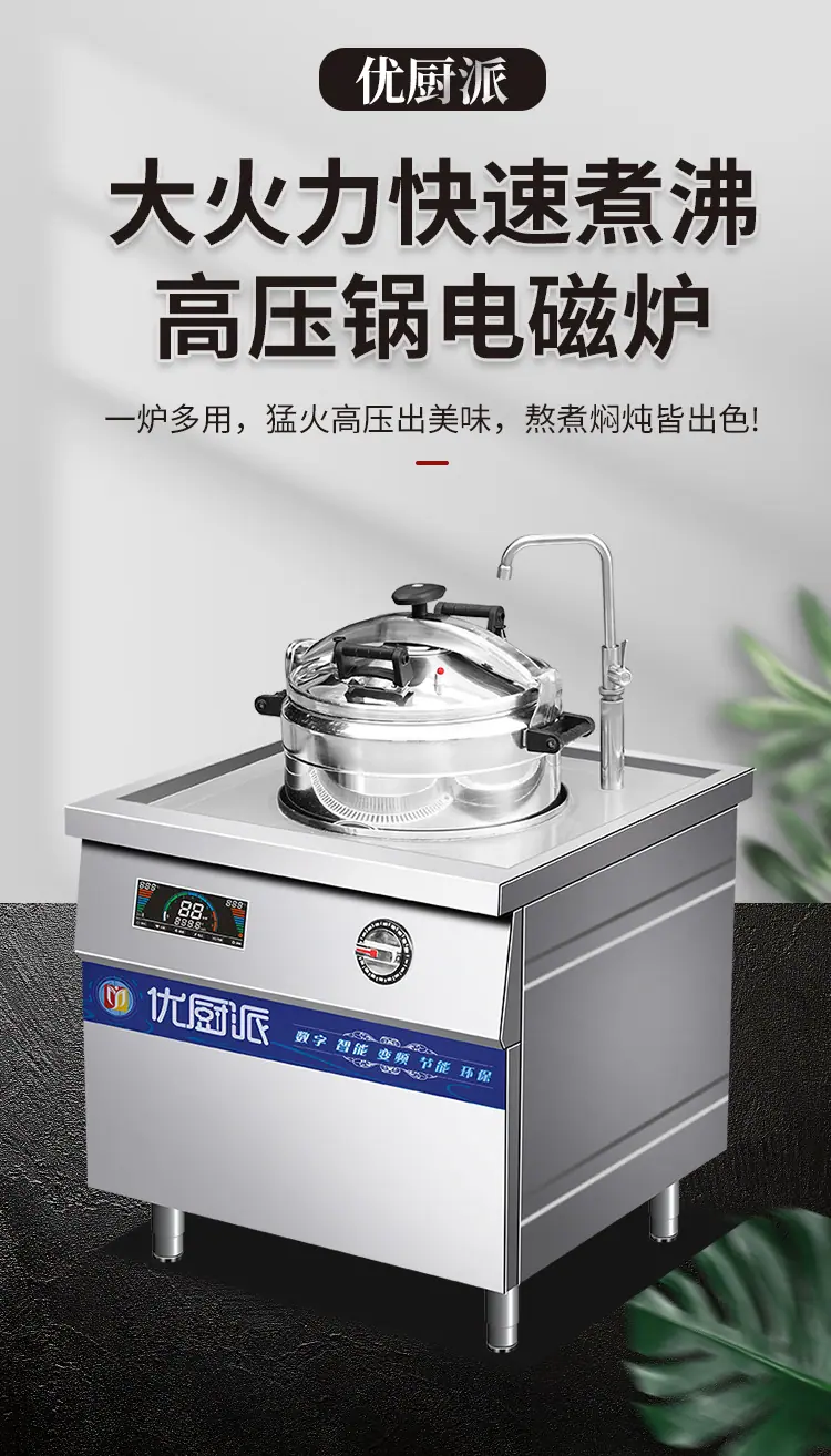 单头嵌入式高压锅_02.jpg