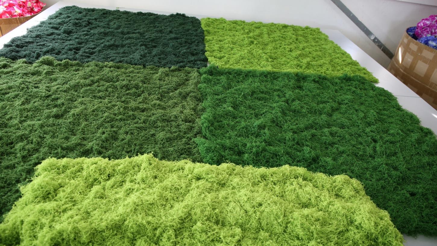 751A2465 - 开心看图王_副本