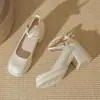 Zapatos de Tacón Alto Mary Jane Franceses para Mujer 2026 Otoño Nuevos Correas Cruzadas Correa con Hebilla Falda Retro Qipao Zapatos de Tacón Individual