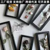 Suporte de Exibição de Porta-Retrato de Armazenamento de Flores Secas Rosa para o Dia dos Namorados, Rack de Armazenamento para Joias de Colar, Espécimes de Animais e Plantas
