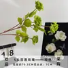 Ramo Artificial de 5 Rosas para Decoración del Hogar, Fotografía, Bodas, Arreglos de Hotel y Arreglos Florales al por Mayor