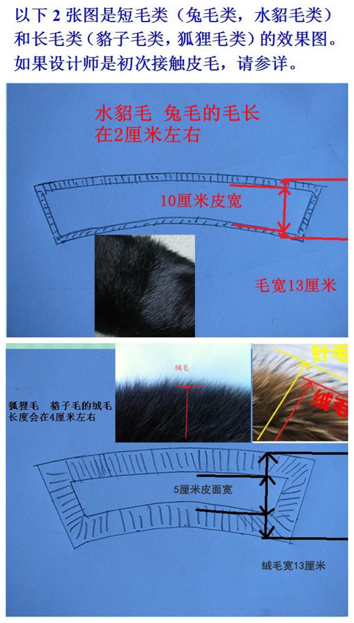 长，短毛参详图3