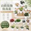 Más de 100 Tipos de Flores Artificiales y Plantas Verdes, Combinaciones de Plantas Artificiales en Maceta de Plástico, Flores Artificiales de Venta Caliente Transfronteriza, Mini Bonsáis Artificiales, Fuentes de Suministro