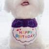 Sombrero de gato tocado lindo conejo gorro Teddy Corgi bulldog francés babero de perro cubo vestido de cumpleaños accesorios para fotos