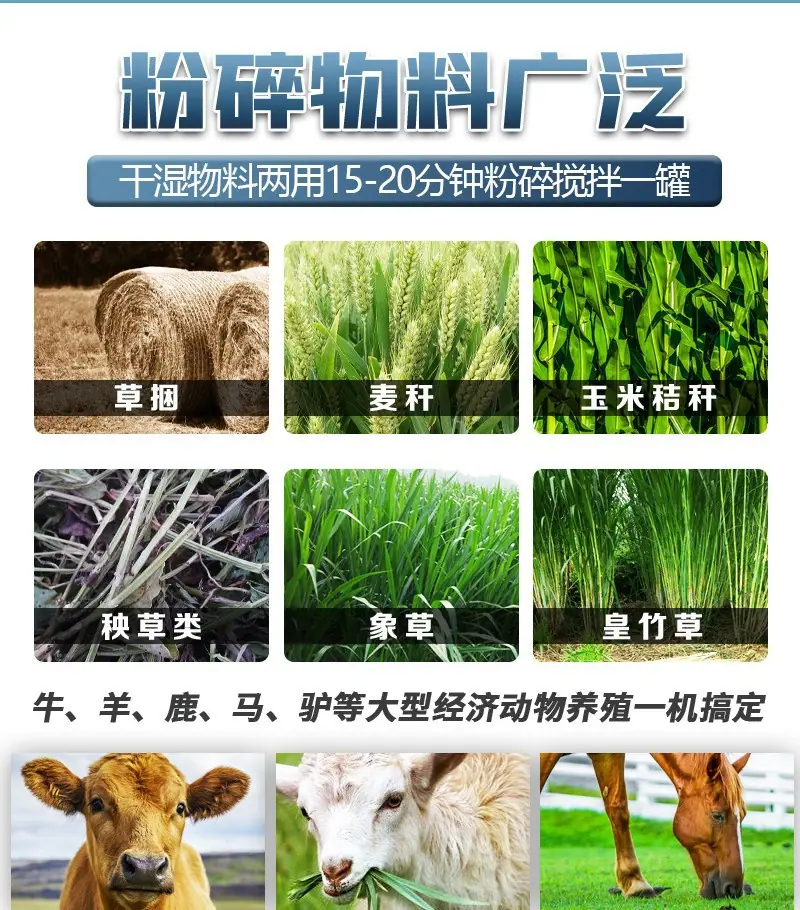 双轴TMR搅拌机7.jpg