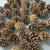Piña con Clavos Colgante de Piña Navideña Juguete para Masticar Loro Accesorios Accesorios para Árbol de Navidad Piña con Clavos