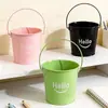 Cubo pequeño de hojalata transfronterizo Cubo de metal de hierro para flores Balcón Planta verde Suculenta Maceta creativa para plantar Decoración de escritorio Almacenamiento