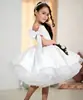 Vestido infantil transfronteiriço, estilo europeu e americano, de alta qualidade e moderno, vestido de princesa para um ano, tule fofo, modelo de passarela, roupa para apresentação de piano