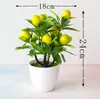 Venta al por mayor de plantas verdes simuladas transfronterizas de fábrica, adornos de plantas simuladas, bonsáis, plantas frutales en maceta