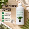 Fertilizante Específico para Palma de Sagú Solución Nutritiva para Plantas de Interior en Maceta Tipo General para Hojas Amarillas Dropshipping