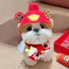 Suprimentos para Pets Chapéu para Pet Chapéu de Cachorro com Orelhas Expostas Antiderrapante Ajustável Chapéu de Bacia Chapéu para Filhote Chapéu de Gato Chapéu de Cachorro