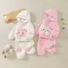 Conjunto de sudadera con capucha bordada de gatito lindo para niños pequeños y niños pequeños, con un dulce diseño de lazo a cuadros, perfecto para salidas casuales