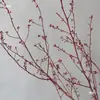 Materiales de Rama de Flor Eterna para Arreglos Florales de Estilo Chino con Ramas de Fruta Seca para Decoración de Interiores del Hogar