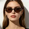 Óculos de Sol Raine 2026 com Armação Oval Retrô para Mulheres, Estilo Coreano, Óculos de Sol com Proteção Solar de Luxo Leve para Fotografia ao Ar Livre na Rua, Novo Modelo 2026