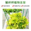 Varilla de Fibra de Vidrio Soporte para Plantas Varilla Pilar para Enredaderas Trepadoras Soporte para Flores Soporte para Rosas Soporte para Tomates Varilla de Soporte Plástico Reforzado con Fibra de Vidrio