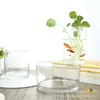 Jarrón Cilíndrico Transparente Jarrón de Vidrio Transparente Hidropónico Acuario Portavelas Decoración de Boda Adorno para Arreglo Floral