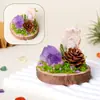 Adorno de musgo eterno para micro-paisaje de cristal con base de madera natural, decoración de cristal natural, piedra bruta de cristal, adorno de racimo de cristal