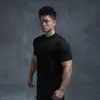 Camiseta de Algodón Puro para Hombre con Cuello Medio Alto y Mangas Cortas, Capa Base Deportiva y de Fitness, Color Sólido, Corte Ajustado, Sensación Fresca de Verano