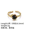 Anillo de Ágata Negra Natural de Alta Gama Moda Europea y Americana Transfronteriza Oro y Plata Anillo Doble Simple Versátil Anillo de Diseño de Nicho
