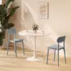Mesa Redonda Blanca Nórdica, Estilo Tulipán, Mesa de Café Casual Estilo Ins, Mesa Redonda Minimalista para Reuniones, Mesa y Sillas para Té con Leche, Mesa de Comedor