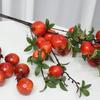 Decoração de Fruta Romã para Simulação Decoração de Fruta Falsa para Sala de Estar Mesa de Jantar Decorações de Flores de Frutas Secas Romã de Simulação de Frutas