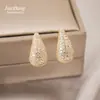 Brincos Exquisitos em Forma de Gota com Microincrustação, Moda Europeia e Americana, Brincos de Temperamento Exagerado, Nicho de Luxo Leve, Atacado de Brincos de Alta Qualidade