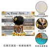 Amazon flor de girasol pintura colgante para dormitorio baño impermeable pintura sin marco mujeres africanas inspiracional sala de estar pintura decorativa