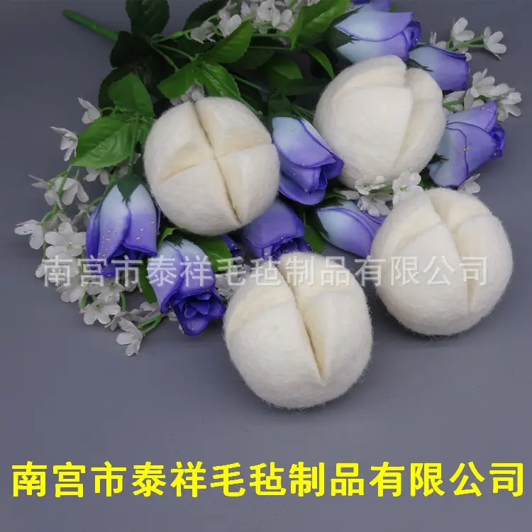 DSC06209_副本