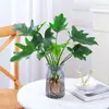 Planta de Filodendro em vaso é tolerante à sombra e fácil de cuidar, uma planta de interior hidropônica, Monstera, perene e fácil de manter, uma boa planta de mesa