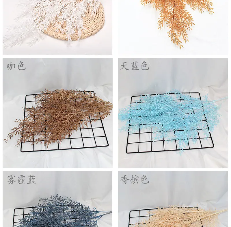 米粒草_06.jpg