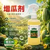 Agente de crescimento de melão abóbora seda melão de inverno cabaça melão amargo pepino controle de crescimento frutificação promover melão fruto folha superfície fertilizante solúvel em água
