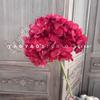 256 peças de hortênsia de galho único criptografia floral hortênsia pequena fresca casamento flor macia flor de parede pirulito hortênsia