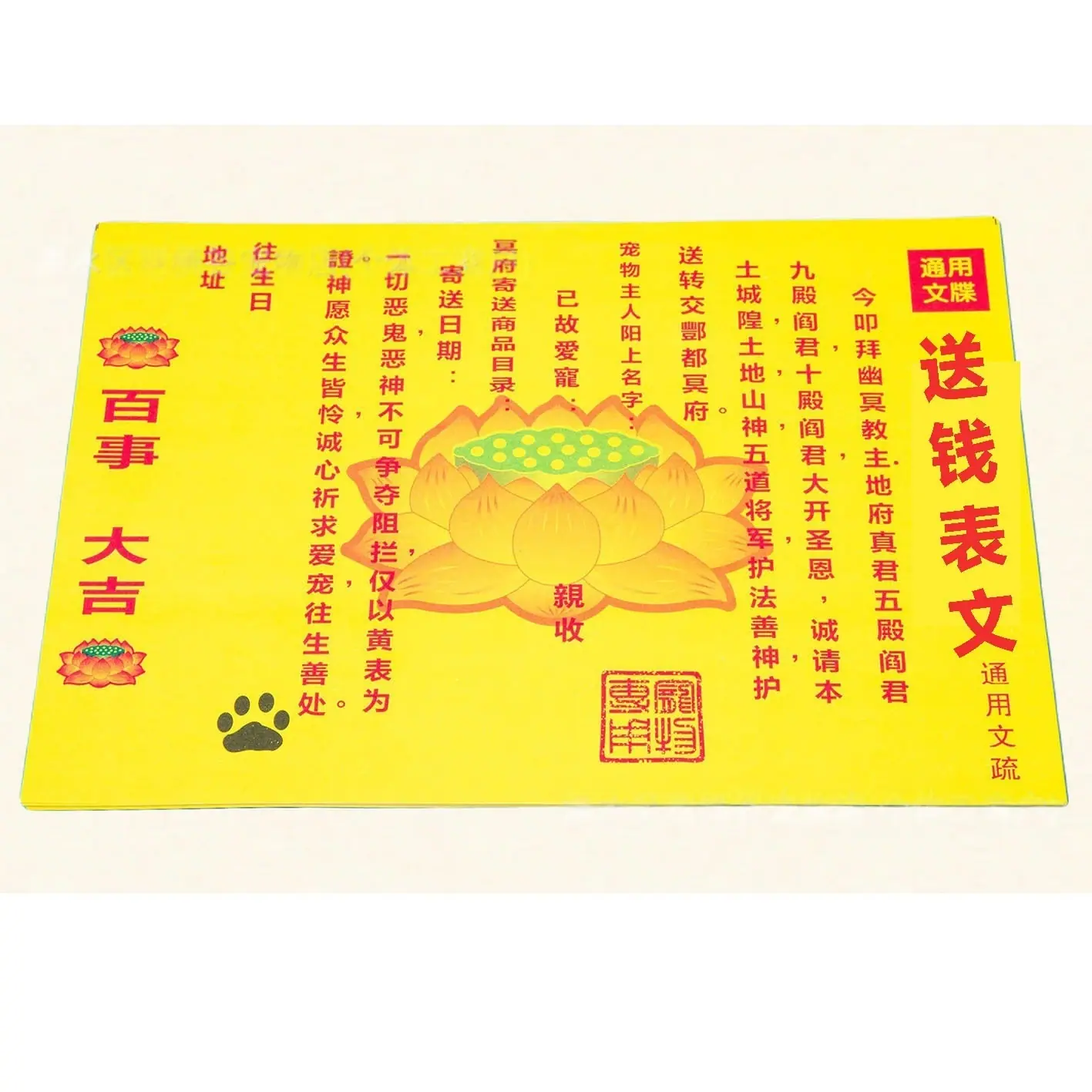 商品主图1775010194738_副本