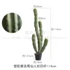 Cactus Grande cactus artificial planta de arena paisaje paisaje paisaje planta tropical cactus en maceta columna de cactus