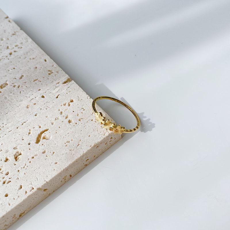 未标题-1_0002_HAJV0704