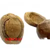 Fruta Bodhi Fruta Coração de Buda Semente Original Malaia Fruta Velha Colar Pingente de Fruta Colorida Grande Peça Vermelha de Fruta Original