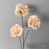 Flor Artificial Rosa Austin Dispositivo para Arco de Boda Austin Cafe Homestay Fuerte Agrietado recomendar Flor Falsa