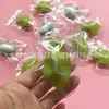 Etiqueta profesional de capullo de PVC bola de capullo bolsa de seda de morera natural capullo de seda etiqueta de edredón de pupa de gusano de seda en stock Universal