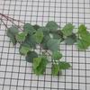 Hojas de Bodhi Simuladas, Accesorios para Fotografía de Plantas Verdes, Materiales de Hojas, Hojas de Manzana, Flores Artificiales, Flores de Seda al por Mayor, Plantas Simuladas de Alta Calidad, Flores Artificiales