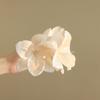 Flores de Primavera ~ Horquilla para Mujer 2025 Nueva Parte Trasera de la Cabeza Clip Grande de Tiburón Sentido Avanzado Temperamento Clip de Agarre Adorno para la Cabeza