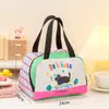 Bolsa Térmica para Marmita para Estudantes e Trabalhadores de Escritório, Bolsa de Almoço, Bolsa Térmica, Bolsa de Mão com Folha de Alumínio Espessa, Bolsa Térmica Fofa para Marmita