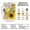 Materiales para manualidades con flores secas, marcapáginas de resina, lámparas de mesa con flores prensadas, especímenes de plantas con flores reales, materiales para decoración de marcos de fotos con flores prensadas