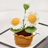 Flor de Lã Feita à Mão Flor Acabada Cravo Girassol em Vaso Flor Tricotada Flor Falsa Simulada Ornamento de Mesa Venda Quente Transfronteiriça