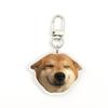 Llavero Acrílico Foto Mascota Shiba Inu Personalizado Estilo Curativo Suave Lindo Cachorro Gato Colgante Souvenir