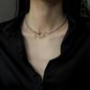 Collar Simple de Acero de Titanio para Mujer Diseño Nicho de Lujo Ligero Sentido del Diseño ins Mamá Caliente Combinable Trendy Elegante Cadena Clavicular Cadena de Collar Distintiva
