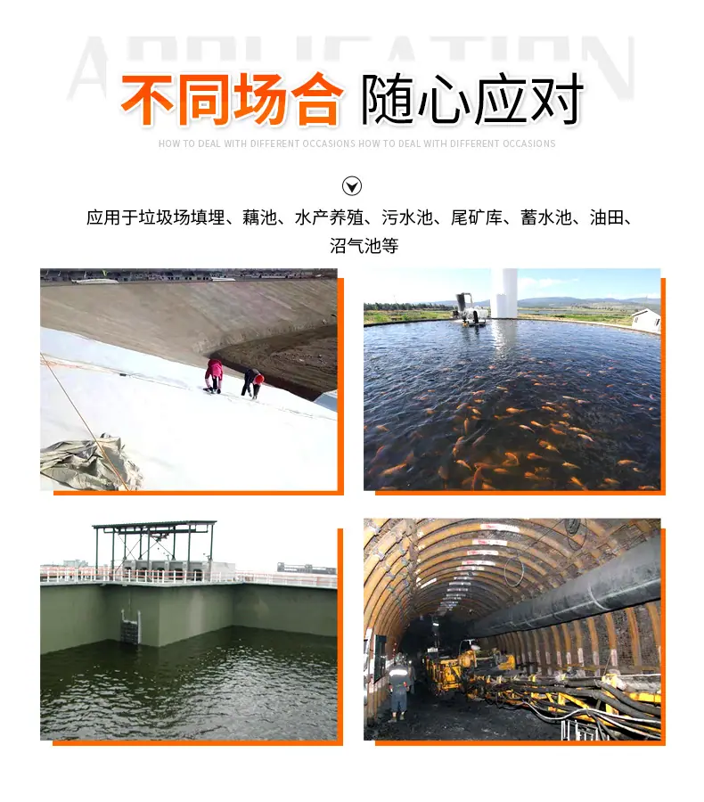 复合土工膜后_07.jpg