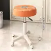 Taburete de Belleza con Ruedas, Silla para Barbería, Silla Especial Elevable para Salón de Belleza, Silla Giratoria Ajustable, Taburete Redondo, Silla para Peluquería y Manicura