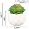 Suculenta Planta Taça de Diamante Bonsai Decoração Casa Escritório Es1178-4 Paisagem em Microfibra Aveludada Mini Alta Simulação